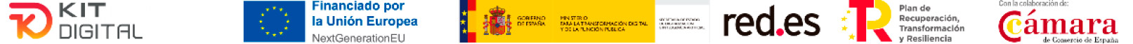 Solución web subvencionada con Kit Digital